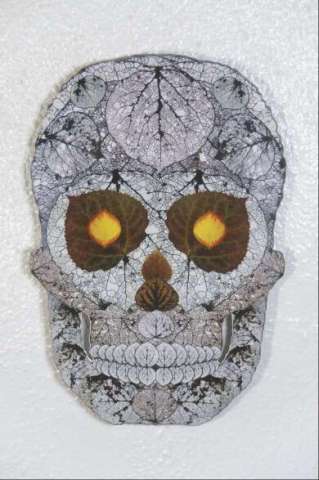 Aspen Leaf Skull 29
