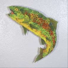 Aspen Leaf Rainbow Trout 7a