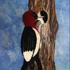 Woodpecker
