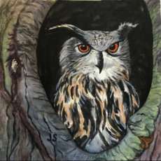 Eurasian Eagle Owl