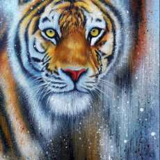 In the Eyes of the Tiger