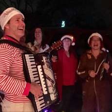 Christmas Accordion