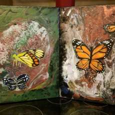 Butterfly 2