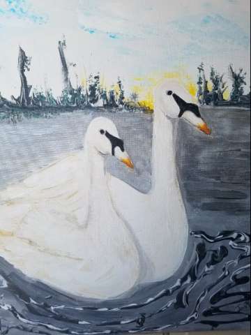 Sweetheart Swans