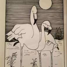 Flamingos & the Stars