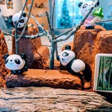 Giant Panda Exhibit