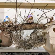 Large Birds Shadow Box