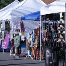 2019 Gopher Tortoise Festival