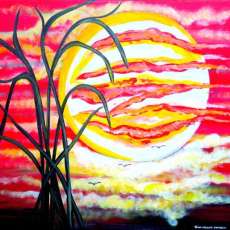 Searching For Answers