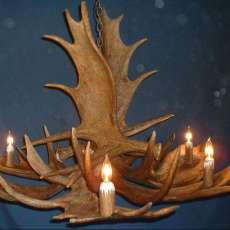 Moose Chandelier
