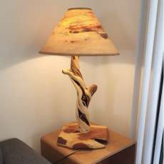 Juniper Lamp With Custom Painted Shade