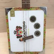 3-String Fretted Guitar