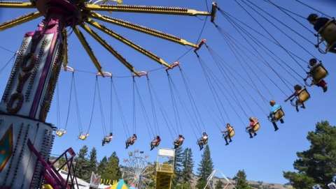 Mendocino County Fair and Apple Show