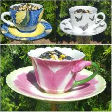 Tea Cup Bird Feeder