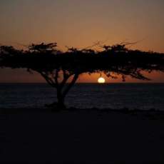 Aruba Sunset