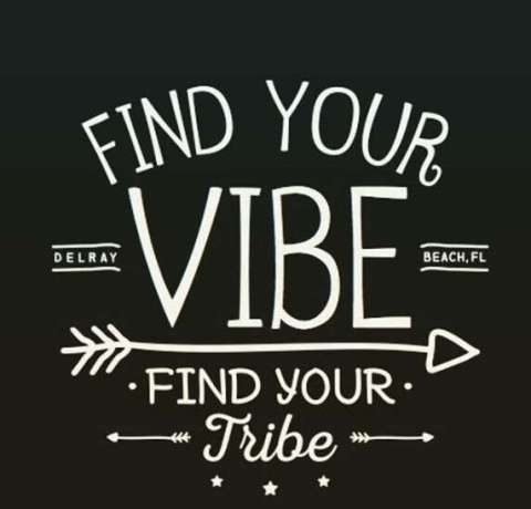 Find Your Vibe Find Your Tribe