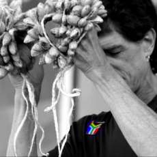 International African Arts Festival - Brookly, NY