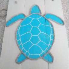 Sea Turtle