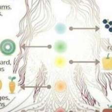 Chakras