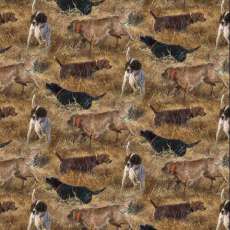 Ww Dogs Day in the Fields