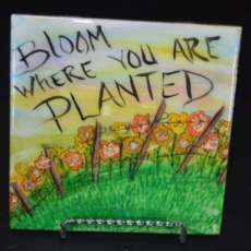 Bloom Where You Are Planted