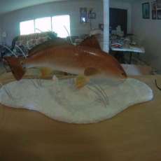 Redfish on the Flats
