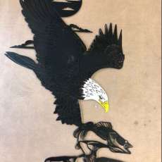 Eagle Catching Walleye