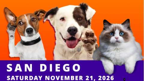 Doggie Street Festival San Diego