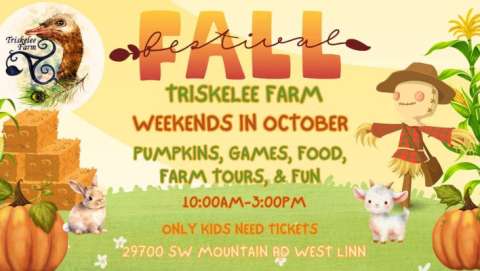 Triskelee Farm Fall Fest