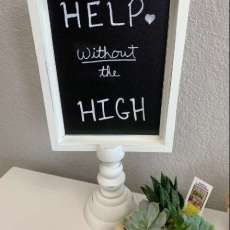 We Are the HELP Without the HIGH