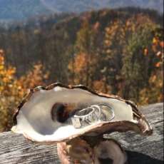 Oyster Shell Jewelry Dish