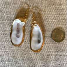 Oyster Shell Earrings