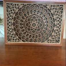 Lotus in Luan Framed in Mahogany