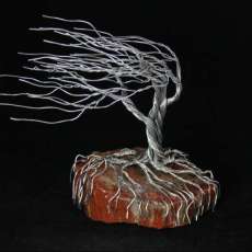 Wind Blown Tree on Petrified Wood