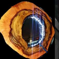 Live Edge Wall Art Or Table