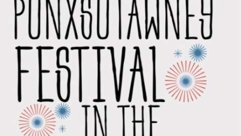 Punxsutawney Festival in the Park