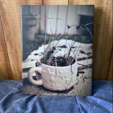 A Little Cup of Growth