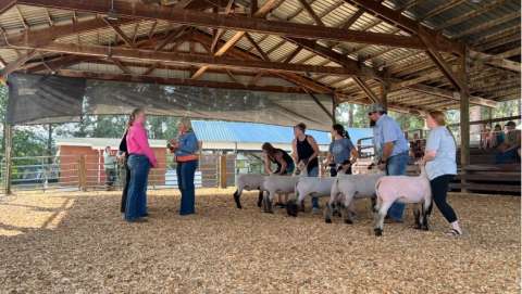 Pend Oreille County Fair