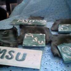 Msu Ceramic Tiles Also Have U of M Ones