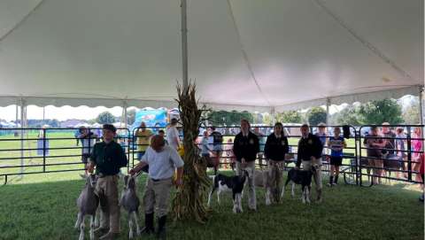 Worcester County Fair