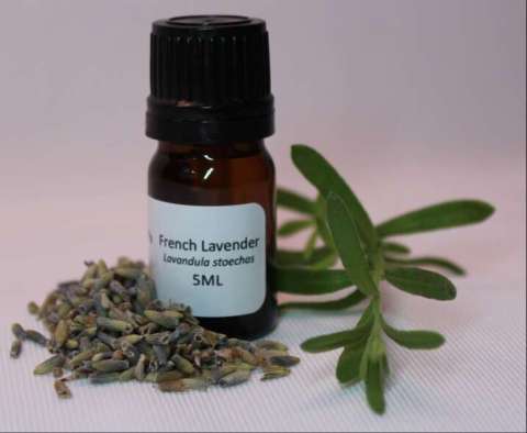 French Lavender 5ml