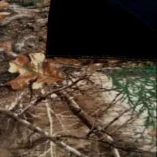Mossy Oak Throw