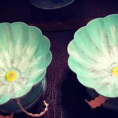 Coastal Country Designs