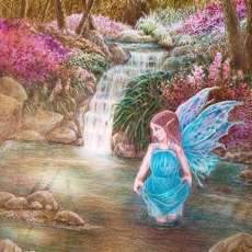 Woodland Fairy, 2018