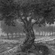 Tree After the Storm, 2018