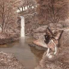 Tiger Swallowtail Fairy, 2019