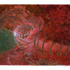 Red Path Through the Woods, 2018