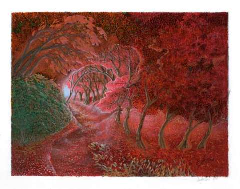 Red Path Through the Woods, 2018