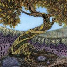 Fall Twisted Pear, 2018