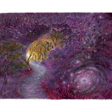 Gateway Into the Universe, 2018